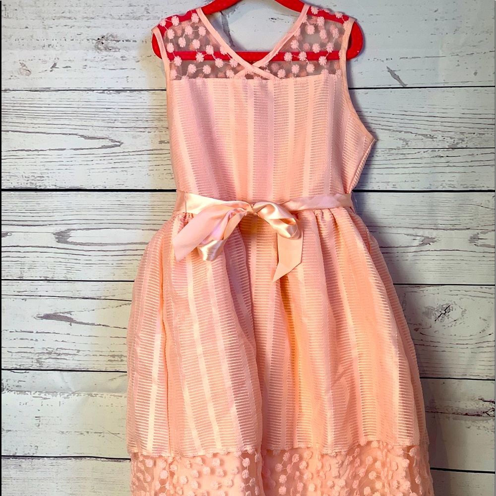 Pink fancy mesh dress